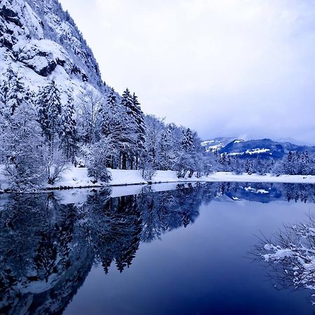 Ferienlounge Bluntausee Apartman Golling an der Salzach Kültér fotó